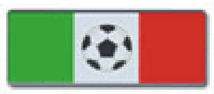 Soccer Ball Non-Reflective Car Insignia Badge